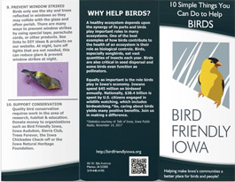 10 Simple Things to Help Birds Brochure