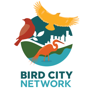 Bird City Network Logo